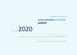 Eurochambres - “European Economic Survey 2020”