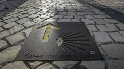 Aprovado programa para certificar e valorizar Caminhos de Santiago
