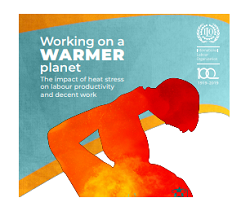 OIT- Relatório “Trabalhar num planeta mais quente: o efeito do stress térmico na produtividade e no 
