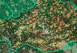 Sistema de informação cadastral simplificada e Balcão Único do Prédio alargados a todo o País