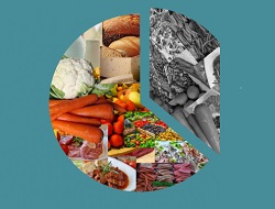 Concurso de ideias para Selo alusivo à redução do desperdício alimentar