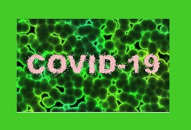 Programa Adaptar recebeu 7 500 candidaturas de microempresas