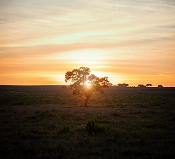 Entidade Regional de Turismo do Alentejo e Ribatejo - Guia prático de Saúde & Segurança Sanitária