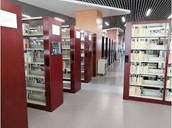 DGS - Orientações para a utilização de equipamentos culturais, incluindo Arquivos e Bibliotecas