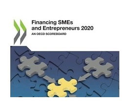OCDE - Painel de Avaliação sobre Financiamento de PMEs e Empreendedores 2020