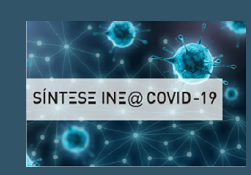 Síntese INE@COVID-19: Acompanhamento do impacto social e económico da pandemia - 24.º reporte 