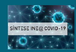 Síntese INE@COVID-19: Acompanhamento do impacto social e económico da pandemia - 67.º reporte 