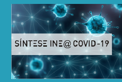 Síntese INE/COVID 19 :Acompanhamento do impacto social e económico da pandemia - 76.º reporte