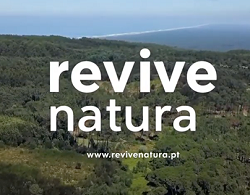 Revive Natureza: Lançados sete novos concursos