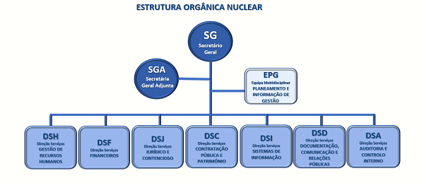 Organograma simples Organograma simples