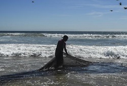 Dia Nacional do Mar -  16 de novembro