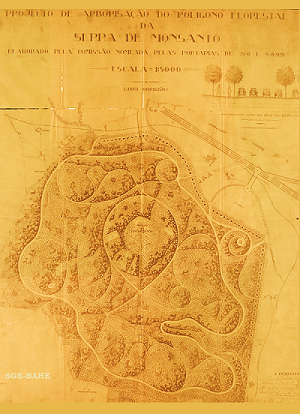BAHE - Documento de março: Parque Florestal do Monsanto
