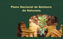 Governo lança Grupo de Trabalho para elaboração do Plano Nacional de Restauro da Natureza