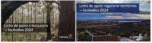Turismo de Portugal : Novas linhas de apoio