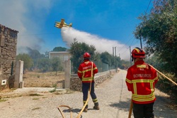 Incêndios: Governo está a fazer levantamento dos prejuízos